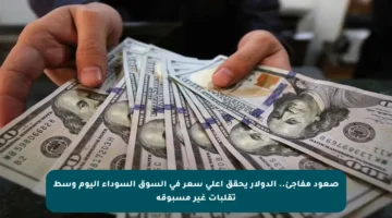 صعود مفاجئ.. الدولار يحقق أعلى سعر في السوق السوداء اليوم وسط تقلبات غير مسبوقة